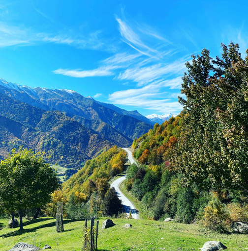 Others 4, Guesthouse in Lankhvri, Mestia