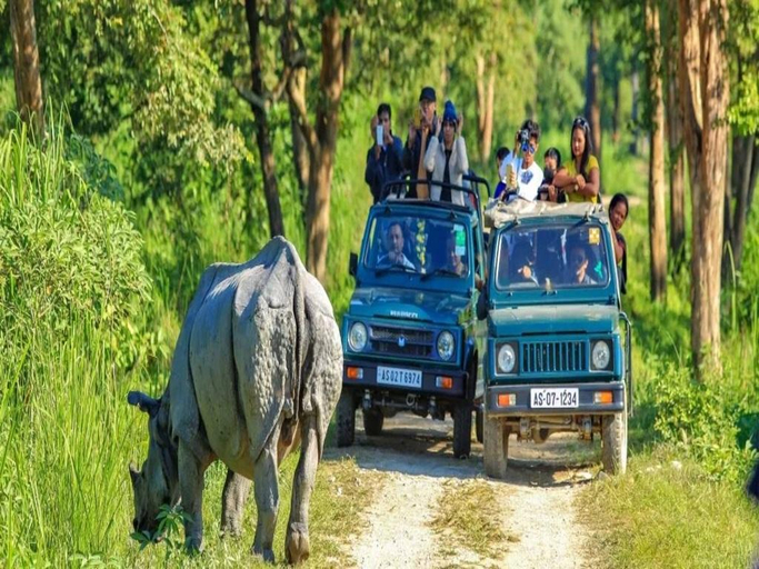 Others 5, Kaziranga Eco Village, Nagaon