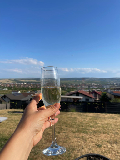 Food & Drinks, Studio or Panoramic Villa with hydro tube extracost, Cluj-napoca