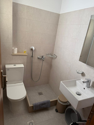 Bathroom 3, TRIANTAFYLLOY ROOMS, Central Greece
