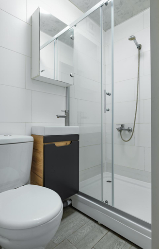 Bathroom 3, River House, Darnyts'kyi