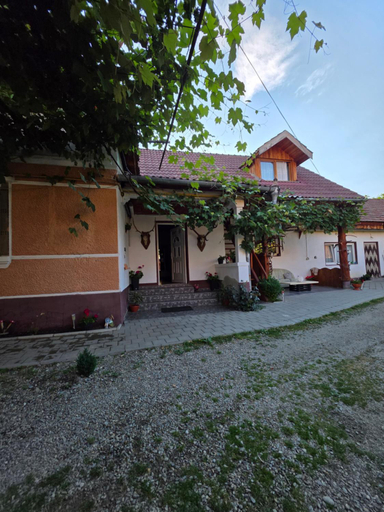 Others 4, Casa Mari, Cartisoara