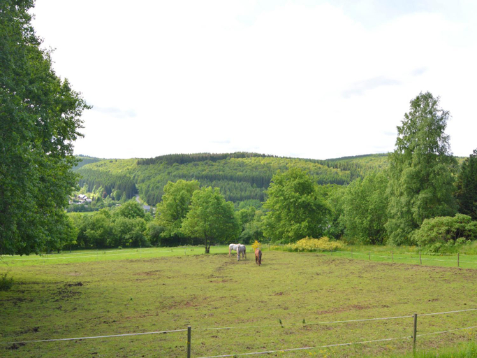 Others 4, Scenic Stay in Vencimont, Namur