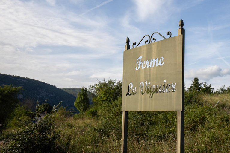 Others 4, Ferme le viguier, Vaucluse