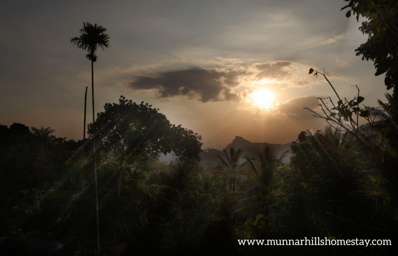 Others 5, Munnar Hills Homestay, Idukki