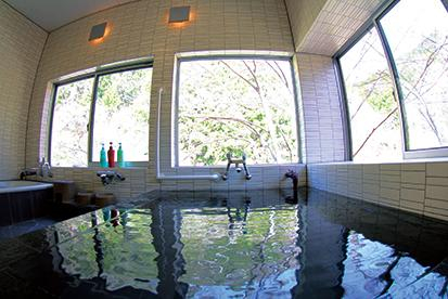 Others 4, Goroku Onsen, Tsuno