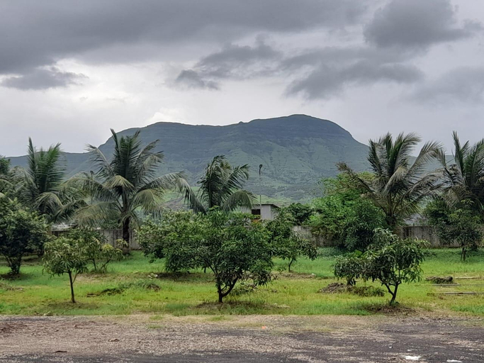 Others 2, Sundar Farms , Raigarh