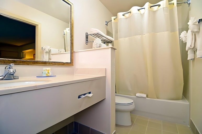 Bathroom 4, Suites Biltmore East, Buncombe