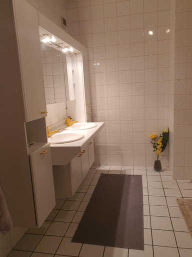 Bathroom 5, Vivacity, Esch-sur-Alzette