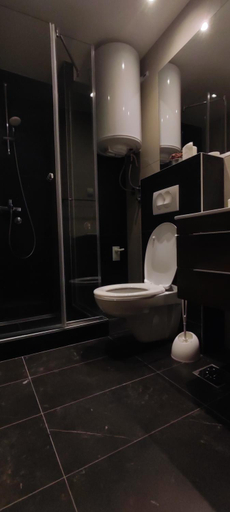 Bathroom 3, Vila Irina Kopaonik, Raška