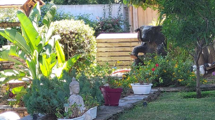 5, Entre les pins et les oliviers, Var