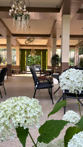 Facilities, Hotel Trio Giroc, Giroc