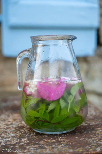 Food & Drinks 5, Aux roses de Cedres, Tarn
