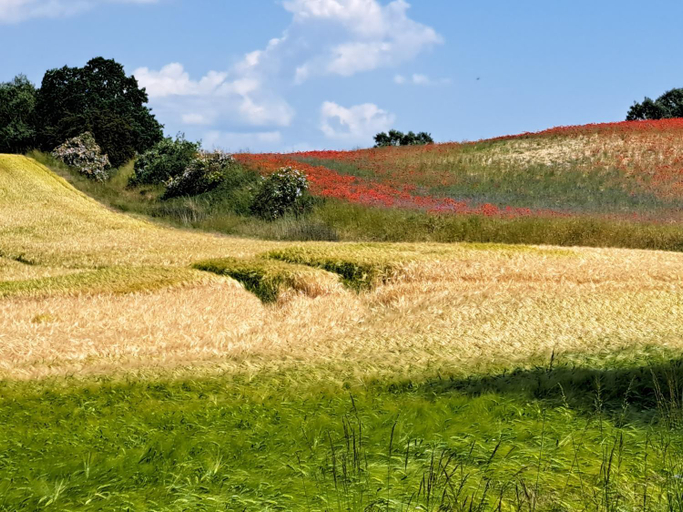 Others 4, Kranichhof Mescherin, Uckermark