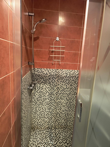 Bathroom 2, Boszkowianka, Wolsztyn