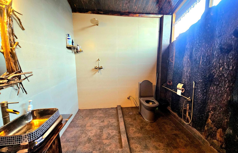 Bathroom 3, Parvatis Lap Villa & Hostel, Kullu