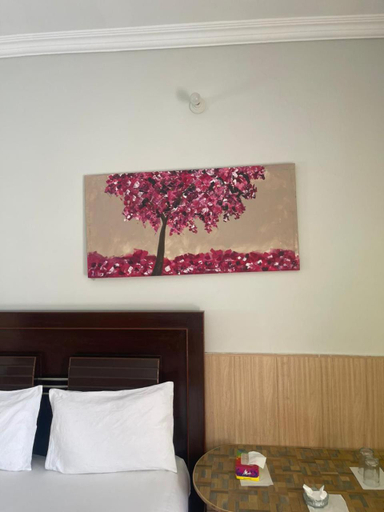 Others 4, lake view hotel and resort, Hazara