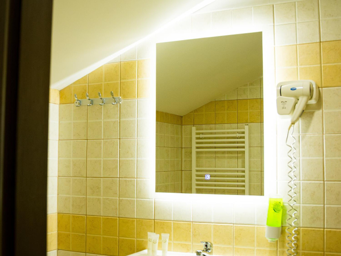 Bathroom 3, Pensiunea Ayana, Petrosani