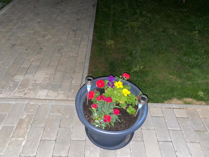 Others 5, Happy Nest, Floresti