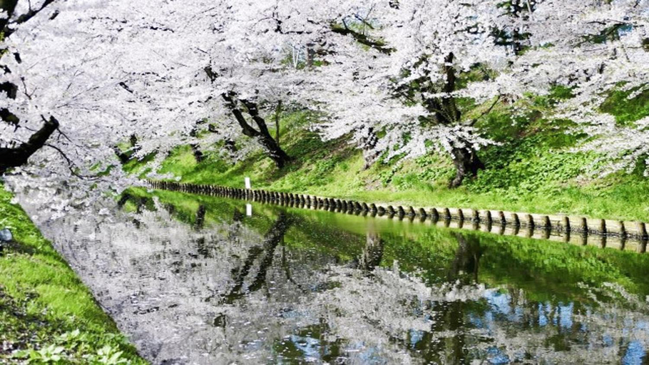 Sport & Beauty 3, Kanesada Ryokan, Kuroishi