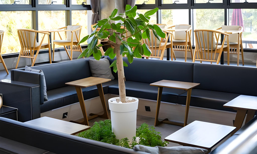 Food & Drinks 5, Hotel Ohevday, Namwon