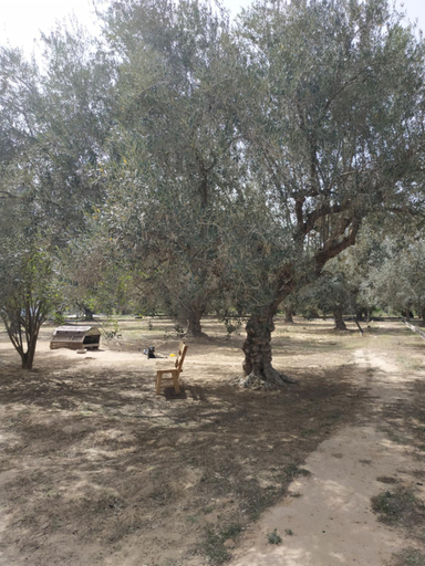 Others 3, Zina Resort Guesthouse & Camping, Mareth