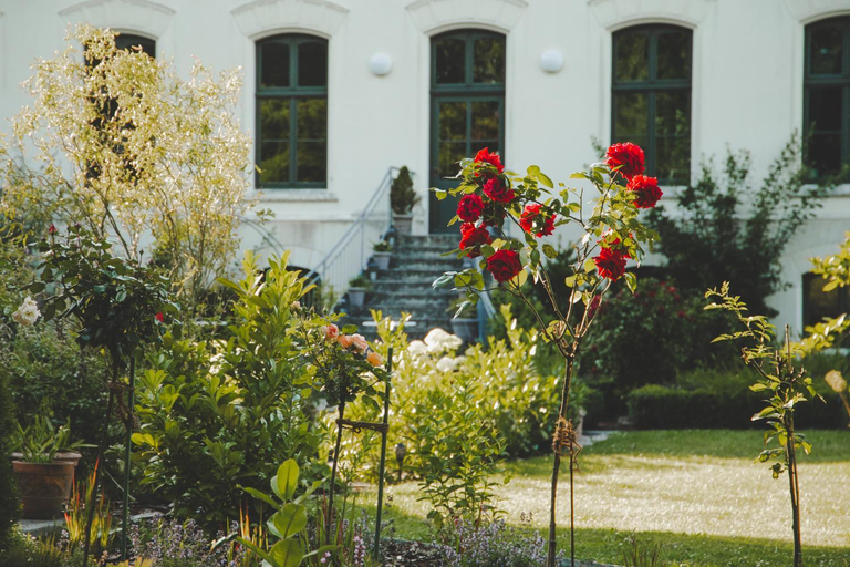 Others 2, Wohnung Ruth- Turmzimmer Anno1869 Herrenhaus Viecheln, Rostock