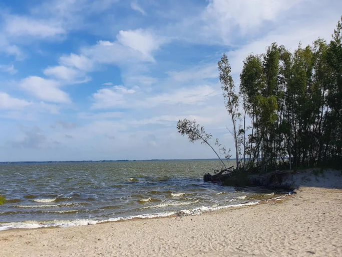 Others 4, Reetdachhaus am Bodden mit Sauna, Vorpommern-Rügen