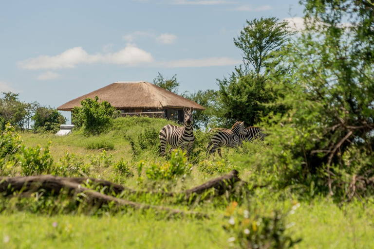 Others 5, Serengeti River Camp, Serengeti