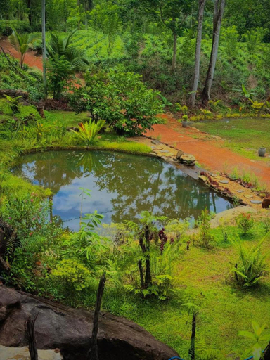 Others 2, Mist of Sinharaja Eco Lodge, Neluwa