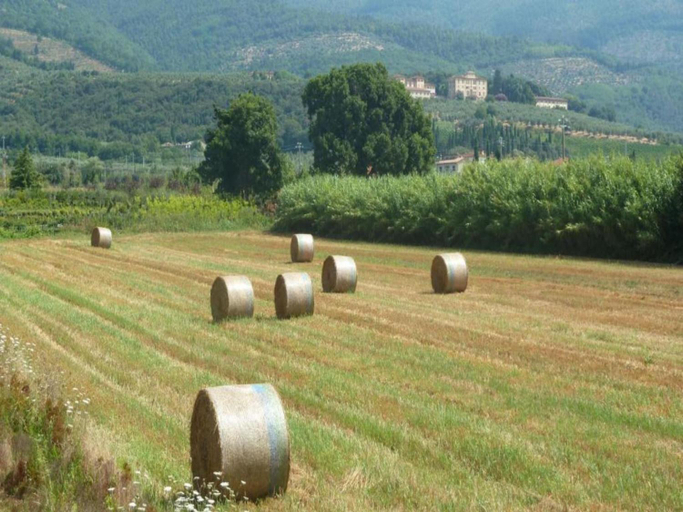 Others 4, Apartment in Tuscany near Florence, Pistoia
