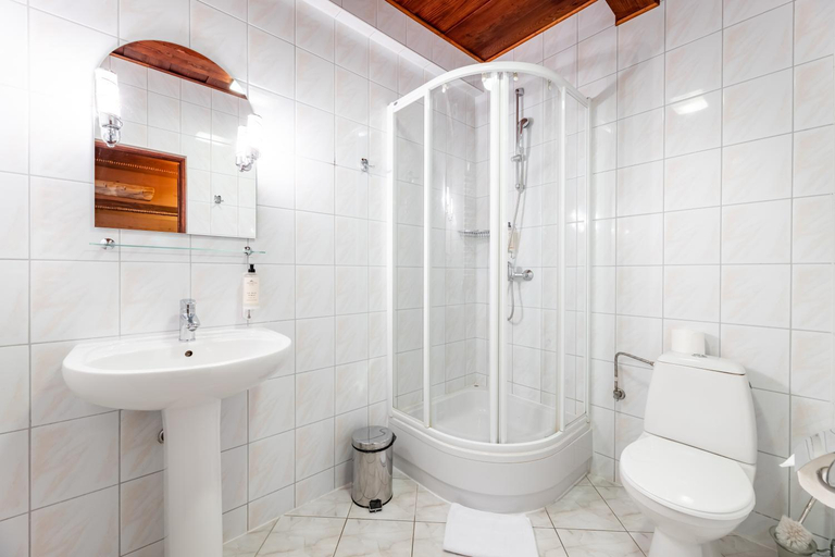 Bathroom 2, Wille Trojca, Bieszczady