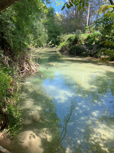 Others 5, La Belle Riviere, Var