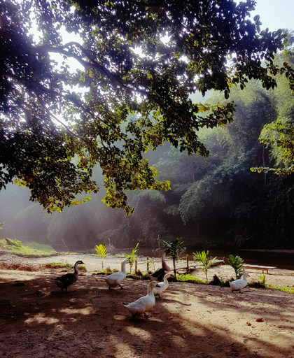 Others 5, Bibury Resort, Suan Phung