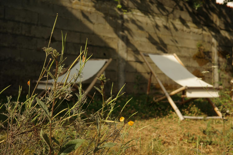 Others 2, Zab Living, Vila de Rei