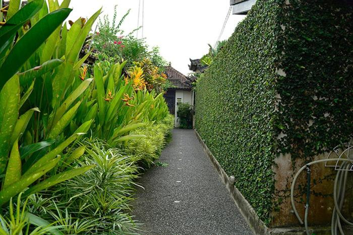 Others 5, Villa Cantik, Gianyar