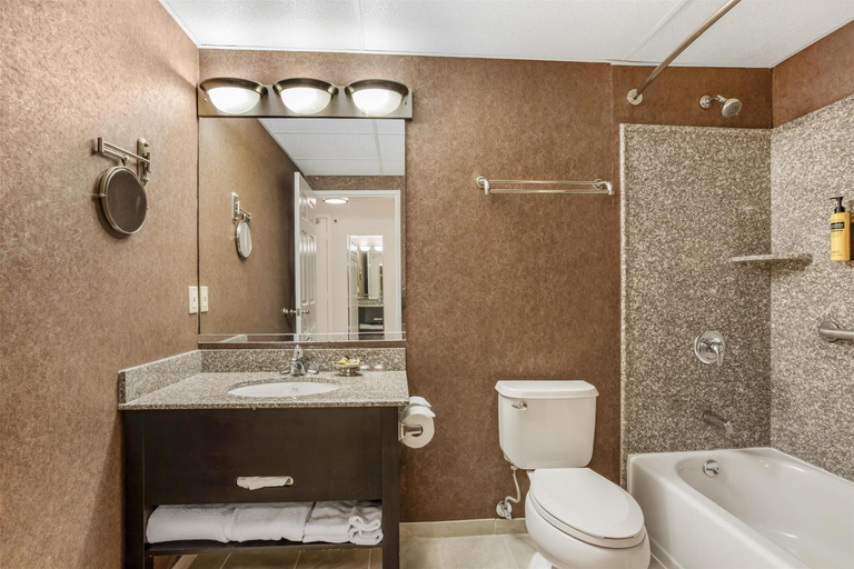 Bathroom 4, Best Western PLUS Morristown Inn-Florham Park, Morris