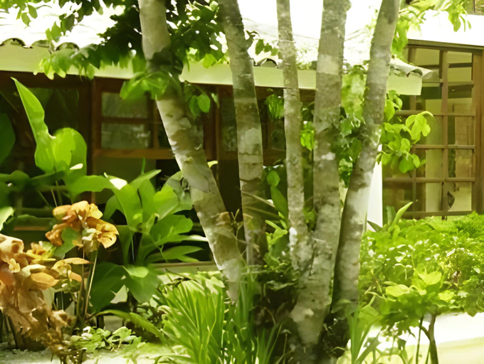 Exterior & Views, Pousada Namuncura, Porto Seguro