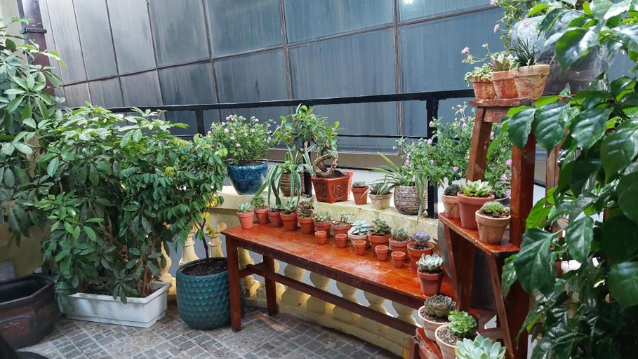 Others 5, alley homestay_liễu giai, Ba Đình