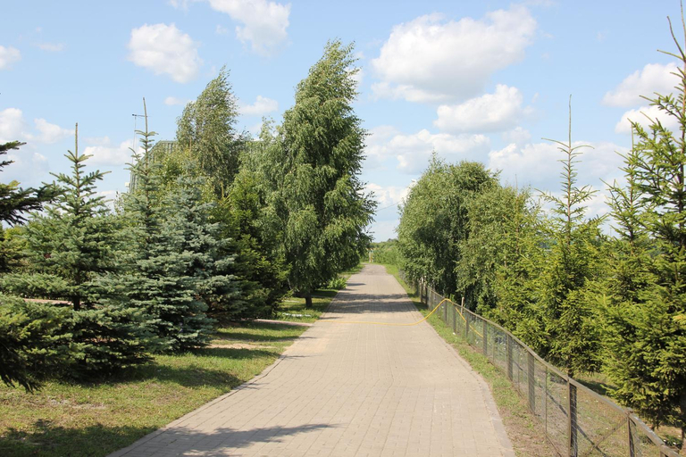 Others 5, Lukomorye Baza Otdykha, Zhiryatinskiy rayon