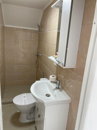 Bathroom 5, Casa Reb, Beclean