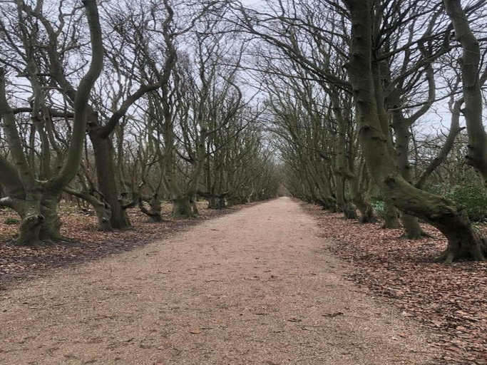 Others 5, Person Stay at Rustenpolder, Veere