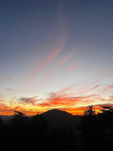 View 2, White Castle Himalayan View by Lavender Hotels, Fagu, Shimla