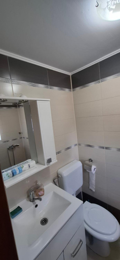 Bathroom 4, Cazare la mare vila Constanta, Constanta