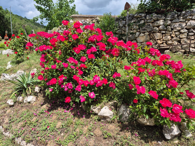 Others 4, Dimora dei Baldi - Rooms & Relax, L'Aquila