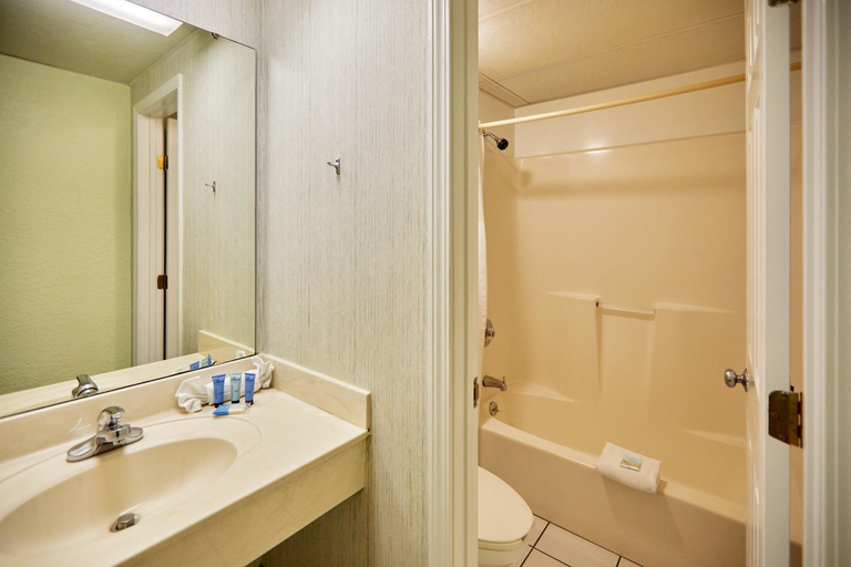 Bathroom 5, Palmetto Inn Suites, Bay