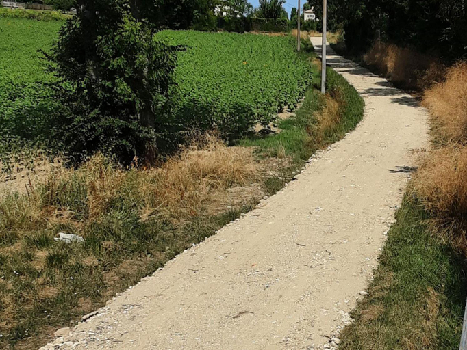 Others 2, La Graule Farmhouse Self Contained Appartment, Lot-et-Garonne