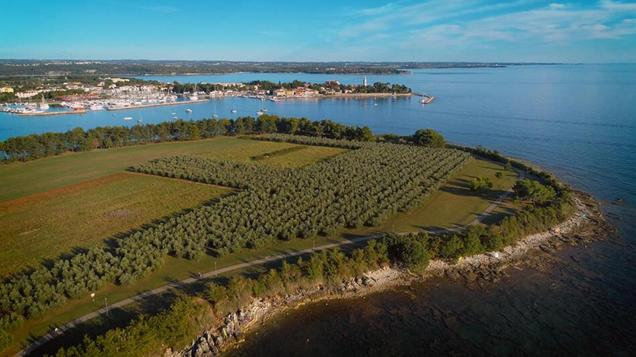 Others 5, Villa Tina Luxury Suite Newly Renovated 2026, Novigrad