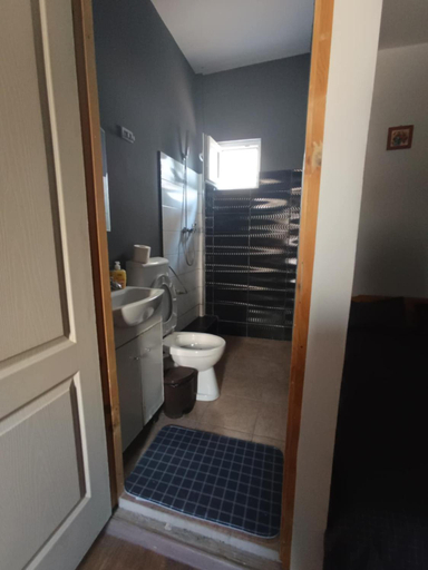Bathroom 3, Casa KARINA, Costinesti
