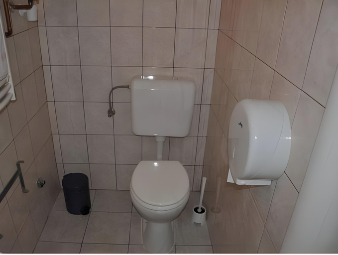 Bathroom 3, Vadvirag Vendeglo es Fogado, Tatabánya